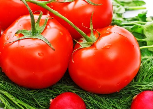 fresh tomatoes and greens for salad, closeup