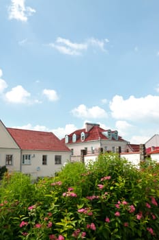 landscape with red roofs, flowers and blue sky