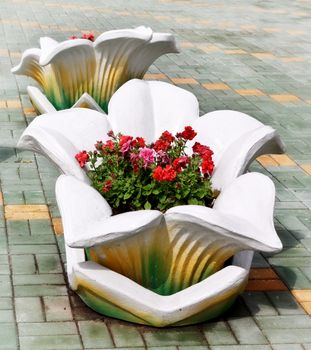 stone flowerbed in flower shape witn nasturtium