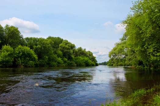 wide rough river in forest at summer day