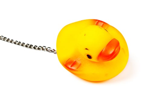 toy duck for bath with chain isolated on white