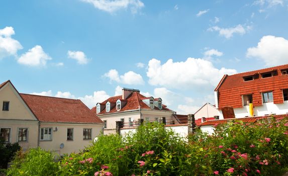 landscape with red roofs, flowers and blue sky