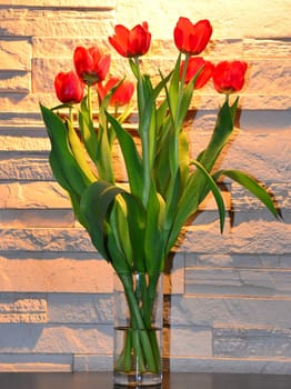 Red tulips in a glass