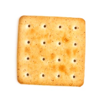 single salty cracker isolated on white background