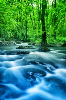 Stock photo: an image of a stream in the wood