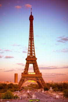 vertical view of the Eiffel Tower in Paris, France