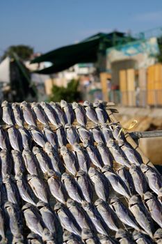 Salted fishes under sunshine in Hong Kong