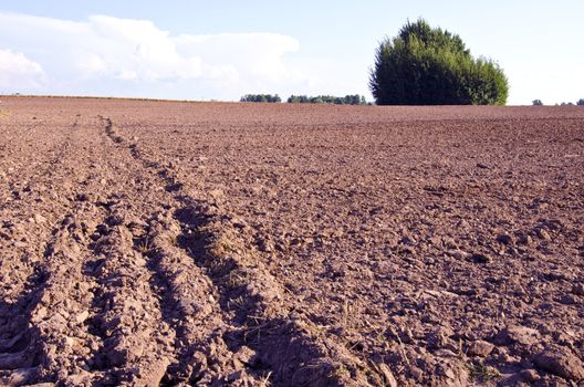 Background of plow fertile ground agricultural fields.