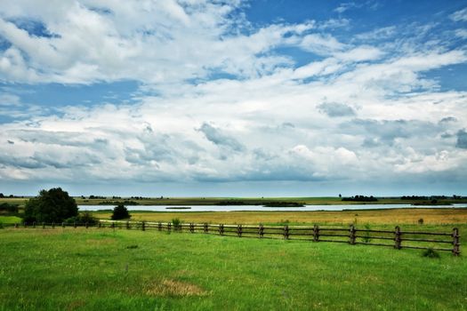 nature rural landscape at sunny summer day