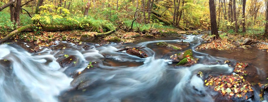 An image of a river in autumn forest