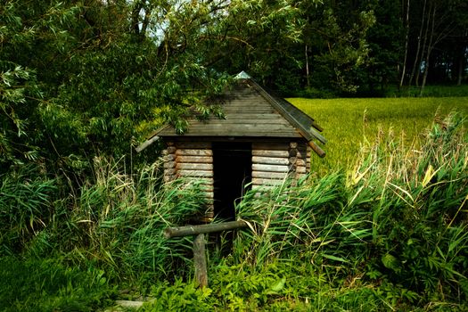 wooden cabin on swamp with high green grass