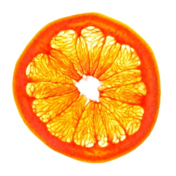 fresh grapefruit slice isolated on white background