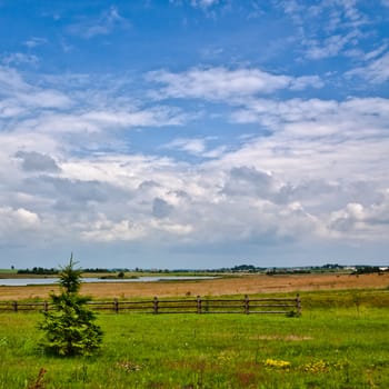 nature rural landscape at sunny summer day