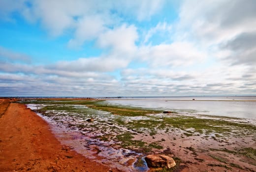 desolate beach under blue at summer day