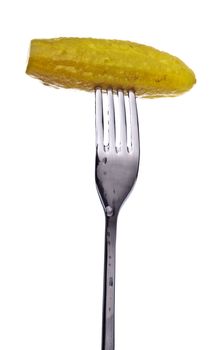 fresh pickle on fork isolated on white background