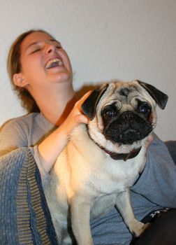portrait of a purebred young pug and laughing woman
