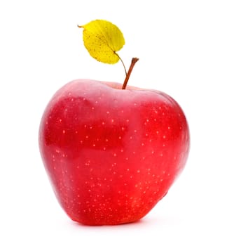 red apple with aspen leaf isolated on white