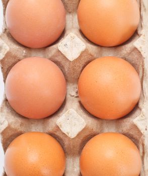 eggs in carton tray isolated on white