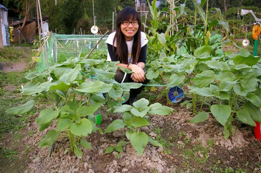 Asian woman in farmland