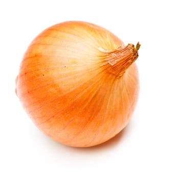 single yellow onion isolated on white background