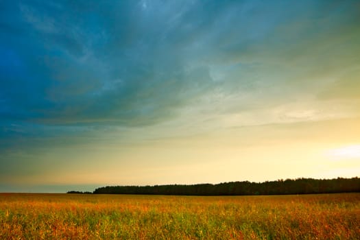 summer landscape with hayfield and storm clouds