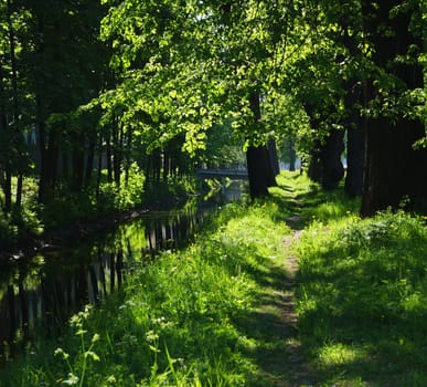 Path in the summer park with many green under small river 