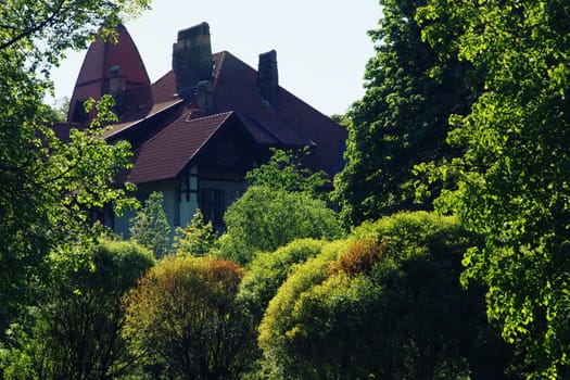 Roof of old great house in the grove