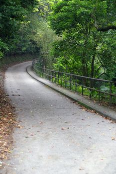 Path in a park