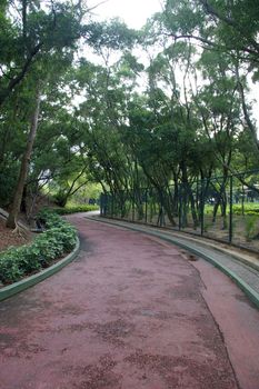 Path in a park