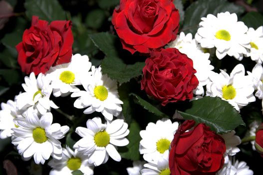 beautiful bouquet of daisies and roses close-up