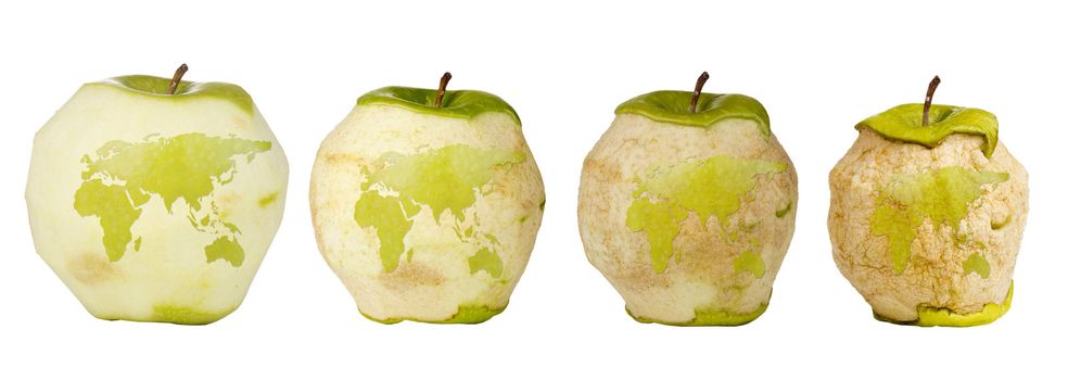 Green apple with a carving of the world map shown four times over a timespan of its deterioration.