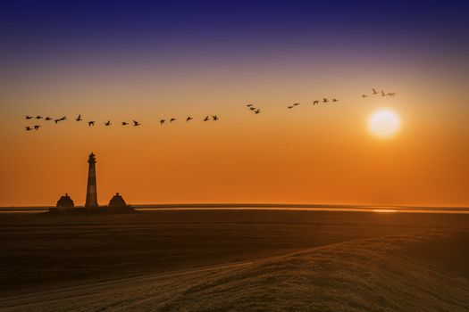 Lighthouse at sunset with flock of birds