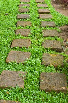 Laterite walk way with green grass