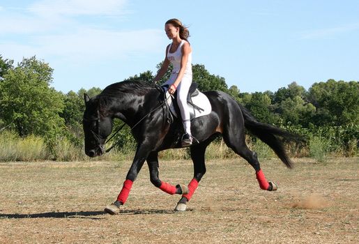 young woman and his black stallion in  a field