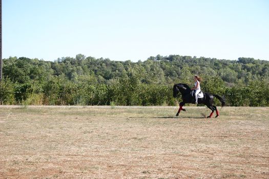 young woman and his black stallion in  a field