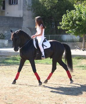 young woman and his black stallion in  a field