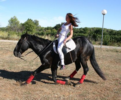 young woman and his black stallion in  a field