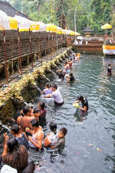 TAMPAK SIRING, BALI, INDONESIA - OCTOBER 30: People praying at holy spring water temple Puru Tirtha Empul during purification ceremony on October 30, 2011 in Tampak Siring, Bali, Indonesia