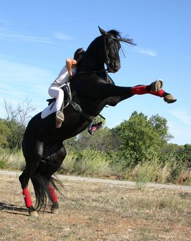 young woman and her rearing stallion outdoors