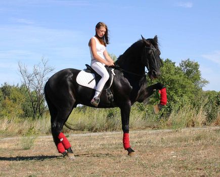 young woman and his black stallion in  a field