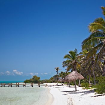 beach with pier on the Isla Contoy, Mexico