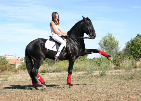young woman and his black stallion in  a field