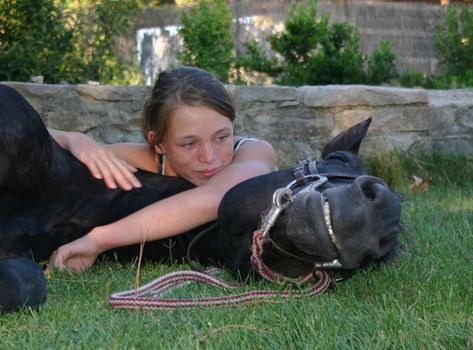 young riding girl and her black stallion laid down