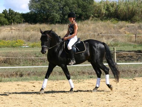 training in dressage for a black horse and her riding girl