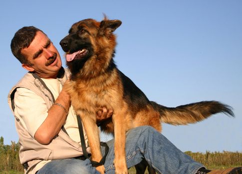 portrait of a purebred german shepherd and man 