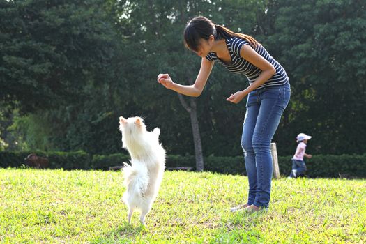 woman train her dog