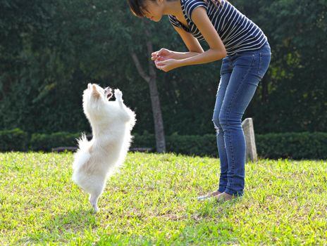 woman training her dog
