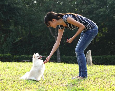 woman train her dog