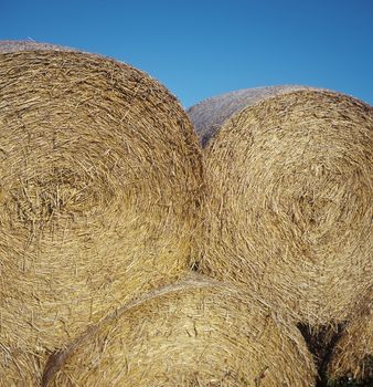 Close up of a pile of Hay stacks