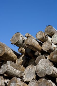 Stack of timber towards blue sky